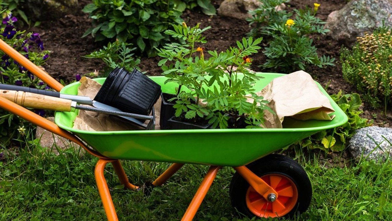 Heavy-Duty Wheelbarrows: Built for Tough Jobs